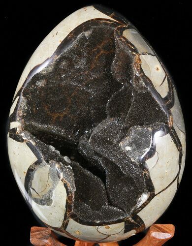 Septarian Dragon Egg Geode - Black Crystals #47476
